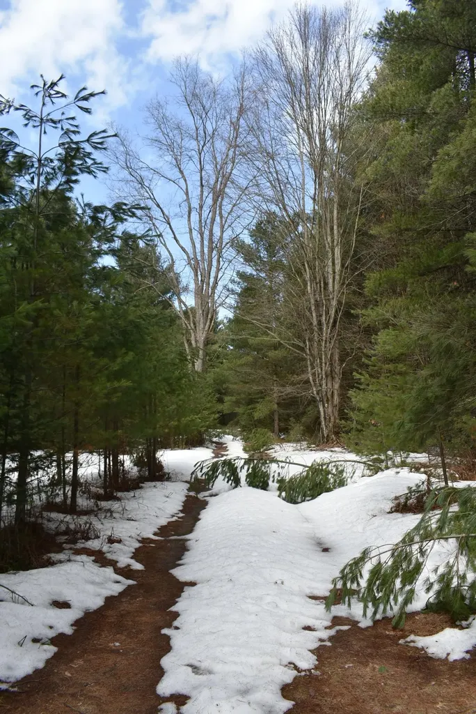 Roop Road Paradise Township MI 49649
