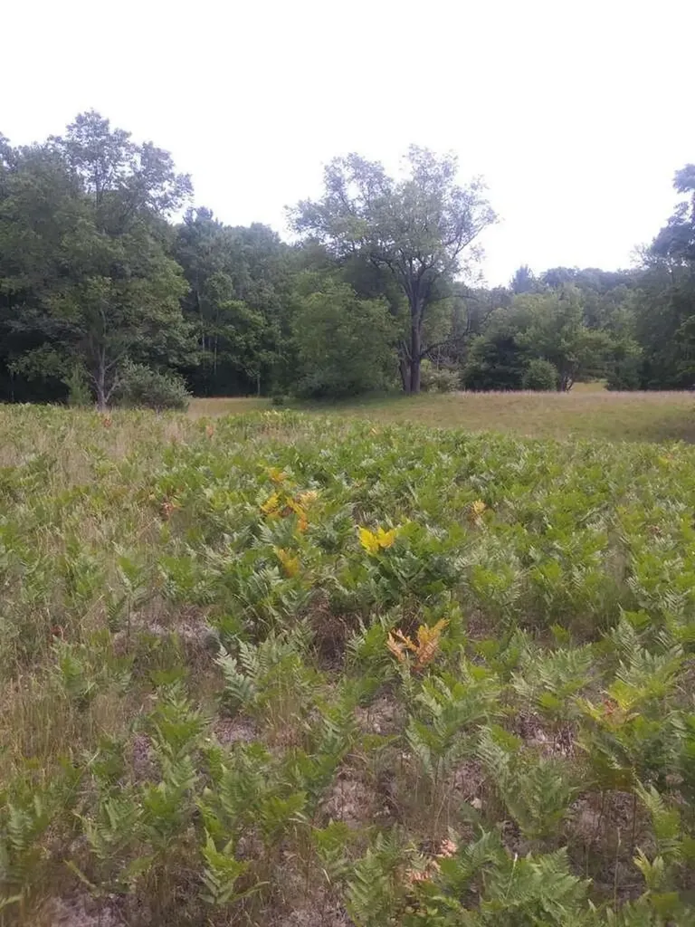 Roop Road Paradise Township MI 49649