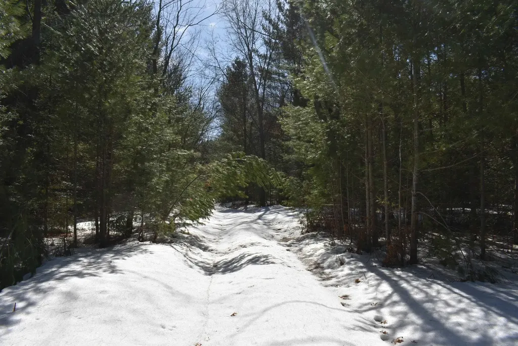 Roop Road Paradise Township MI 49649