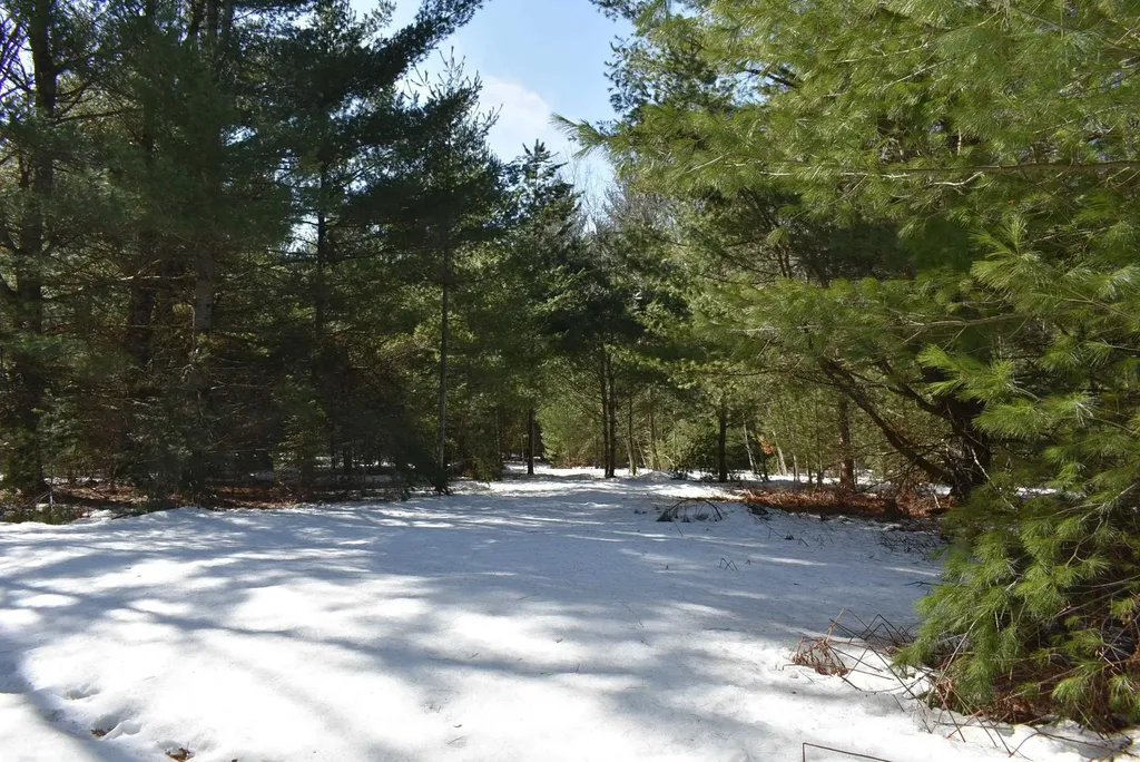 Roop Road Paradise Township MI 49649