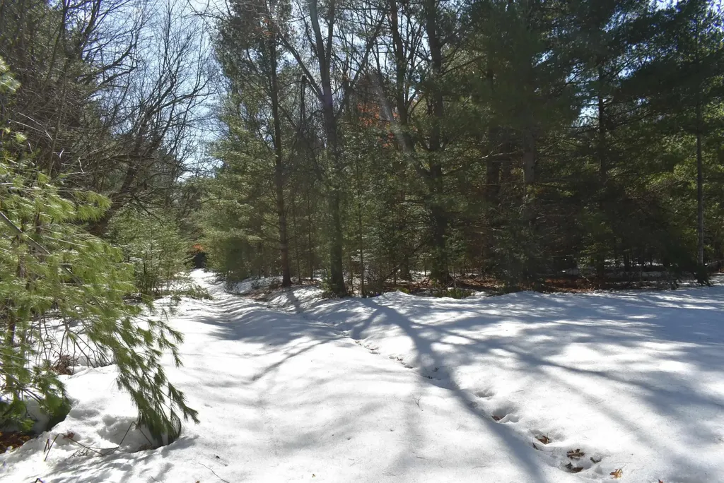 Roop Road Paradise Township MI 49649