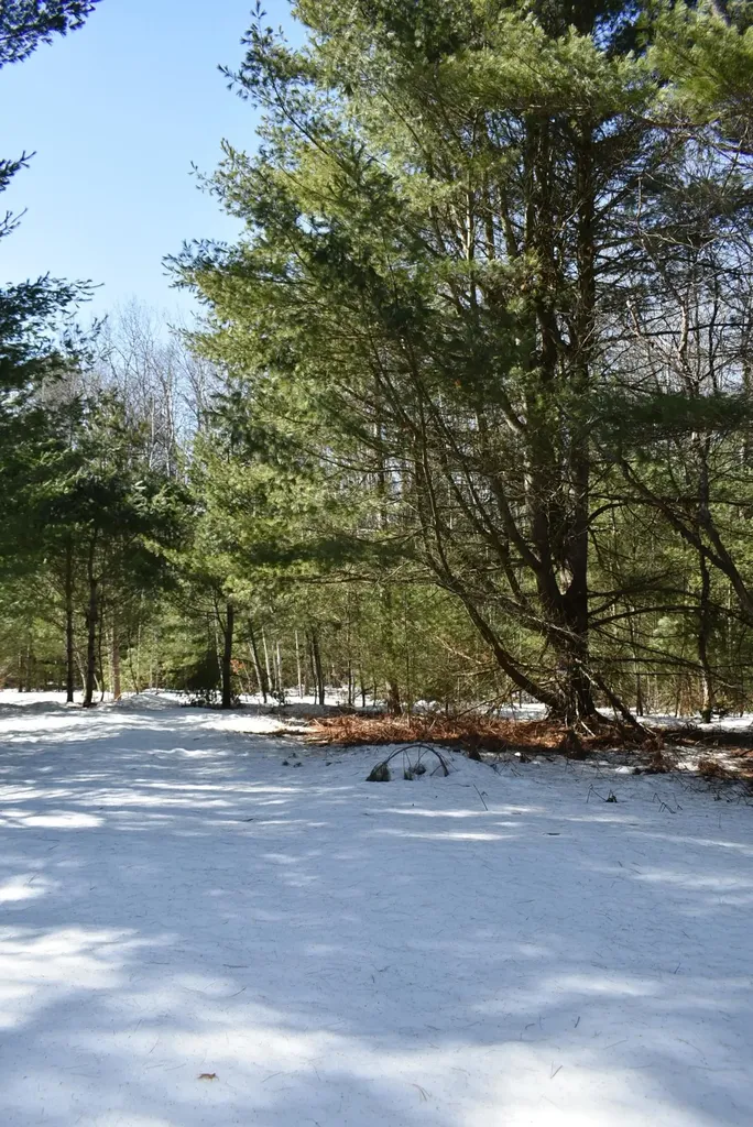 Roop Road Paradise Township MI 49649