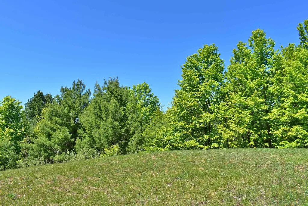 570 Michael Avenue Blair Township MI 49685