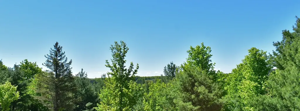 570 Michael Avenue Blair Township MI 49685