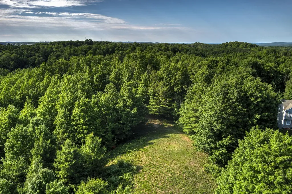 570 Michael Avenue Blair Township MI 49685