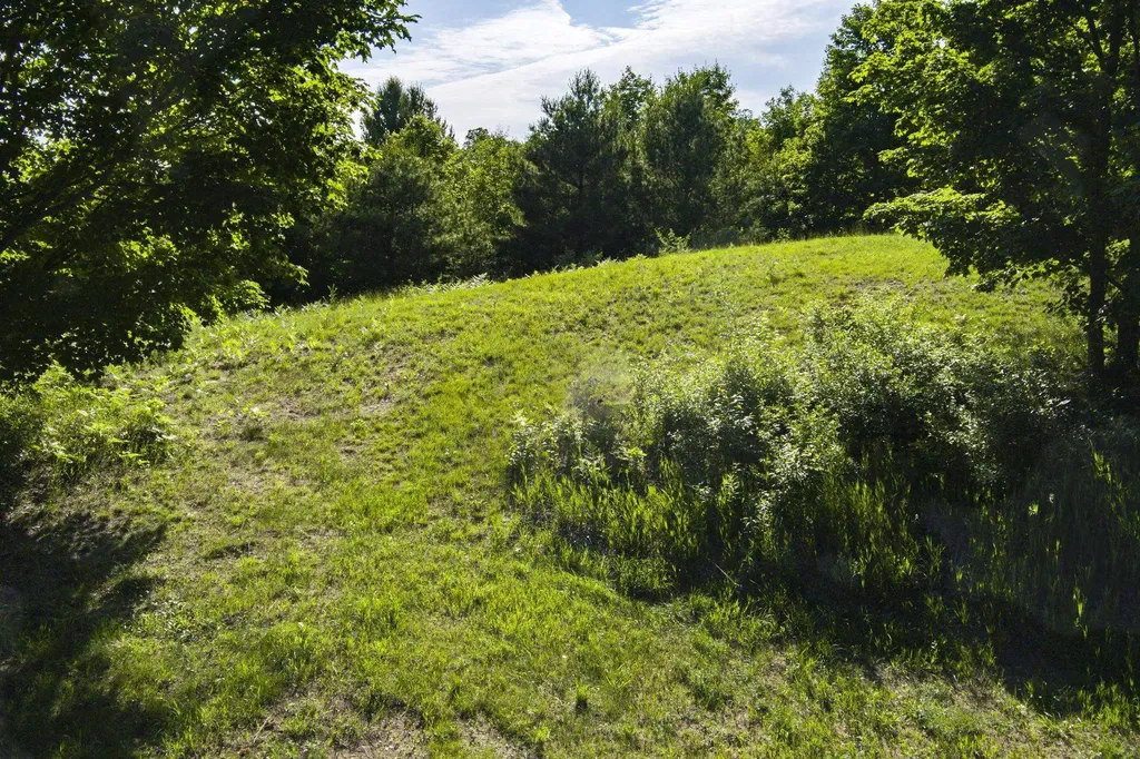 570 Michael Avenue Blair Township MI 49685