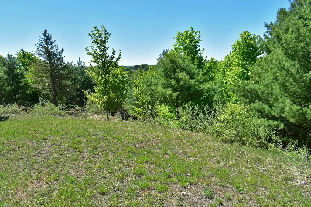 570 Michael Avenue Blair Township MI 49685