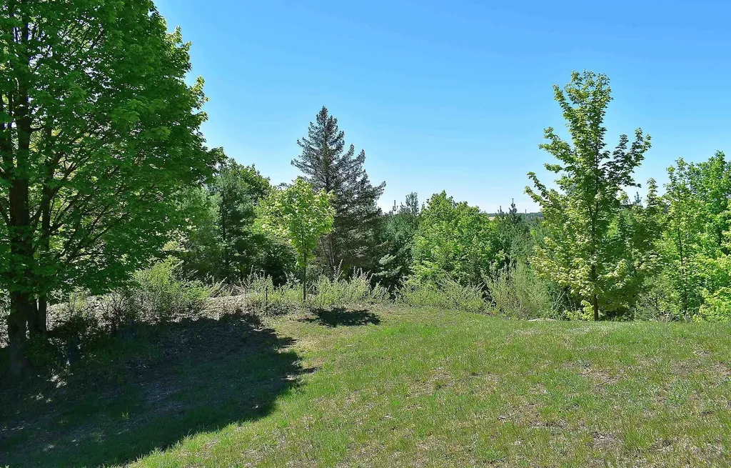 570 Michael Avenue Blair Township MI 49685