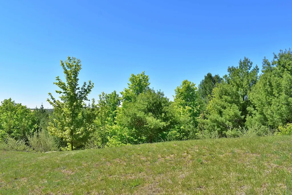 570 Michael Avenue Blair Township MI 49685