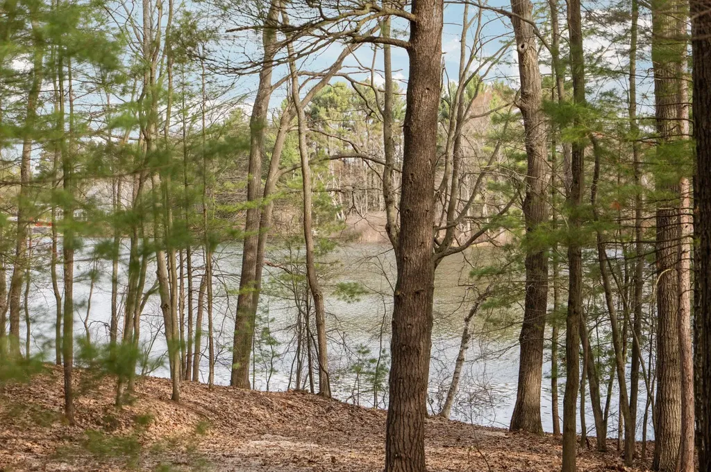 6802 Brandow Woods Long Lake Township MI 49684