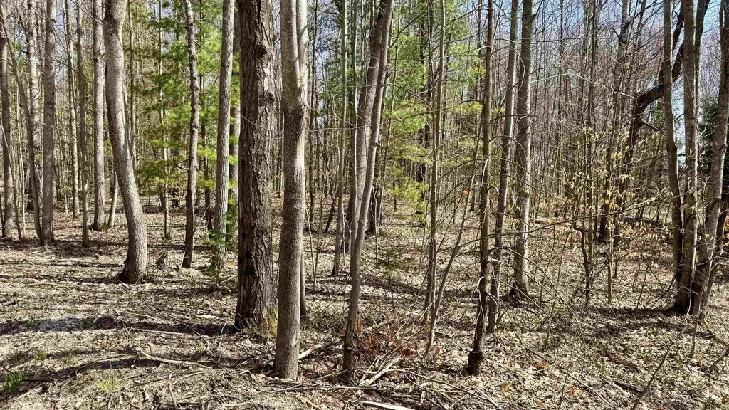 00 N 1 Road Wexford Township MI 49620