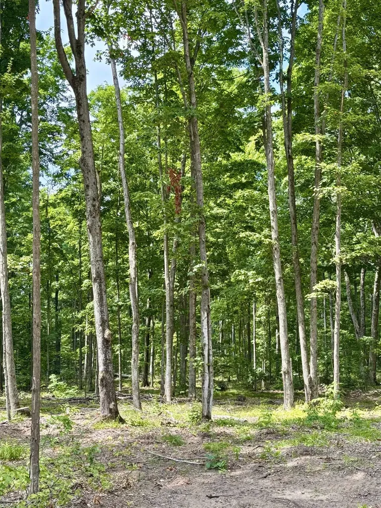 Lot 5 NE Manistee Ridge Drive NE Coldsprings Township MI 49646