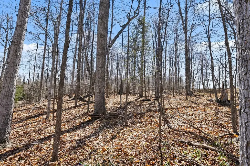 V/l Ferry Road Charlevoix Township MI 49727