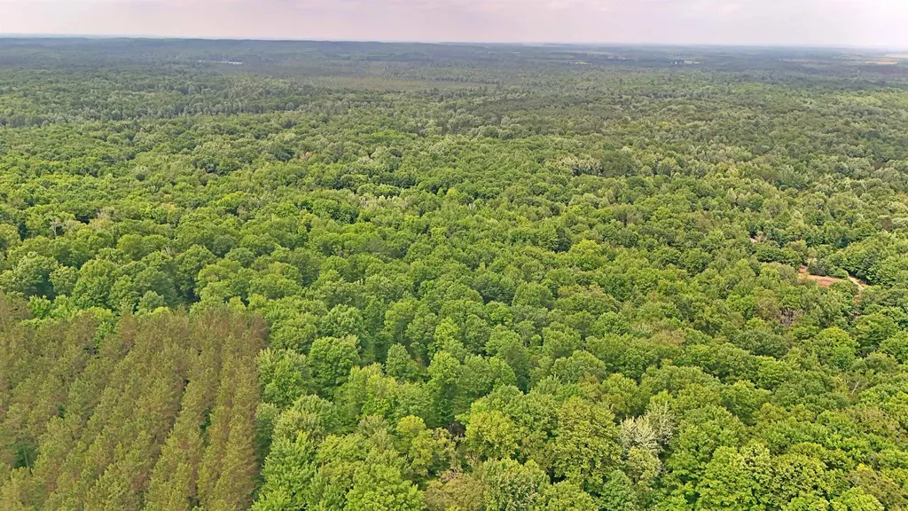Vl 00 Cherry Hill Road Orange Township MI 49633
