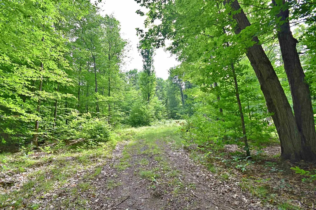Vl 00 Cherry Hill Road Orange Township MI 49633