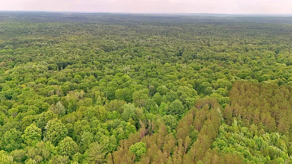 Vl 00 Cherry Hill Road Orange Township MI 49633