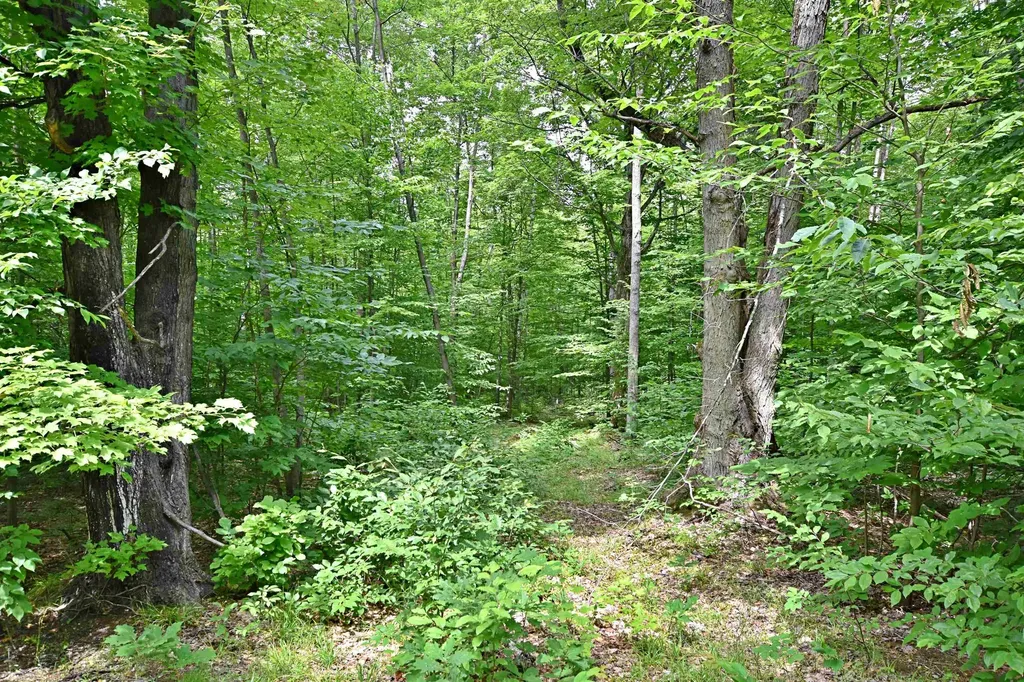 Vl 00 Cherry Hill Road Orange Township MI 49633
