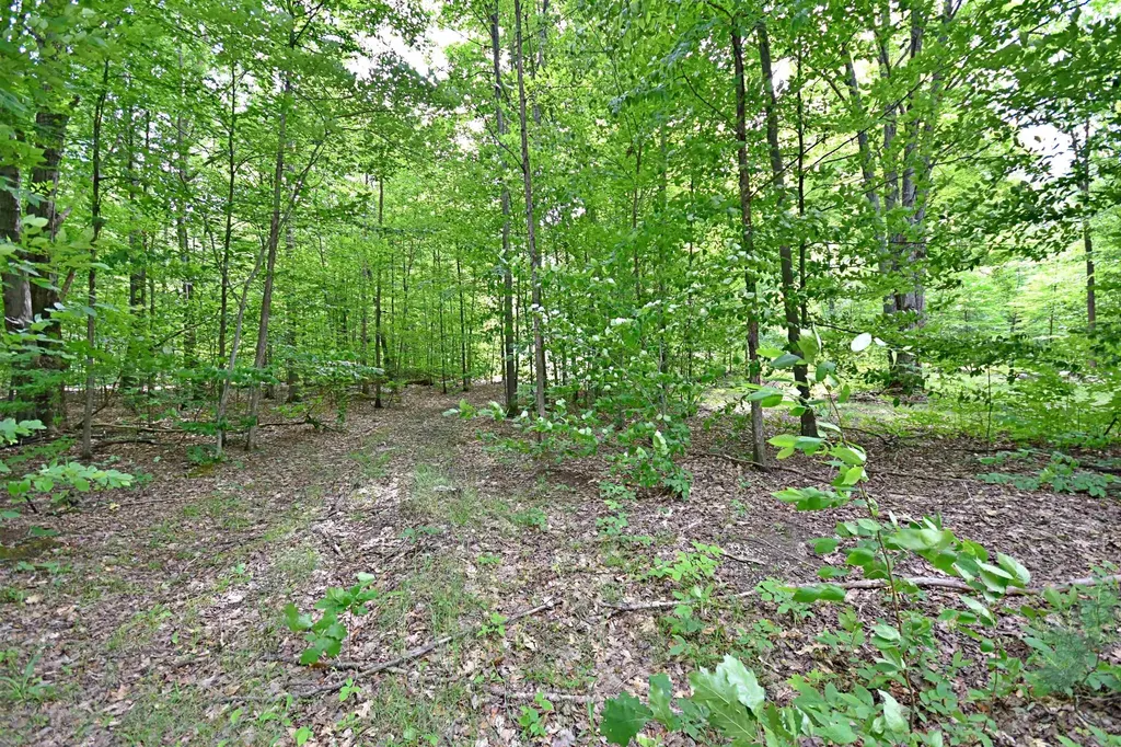Vl 00 Cherry Hill Road Orange Township MI 49633