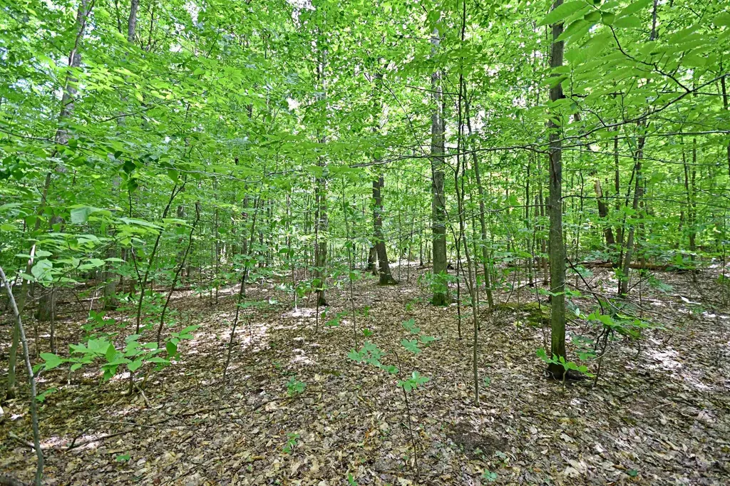 Vl 00 Cherry Hill Road Orange Township MI 49633