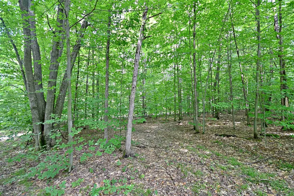 Vl 00 Cherry Hill Road Orange Township MI 49633