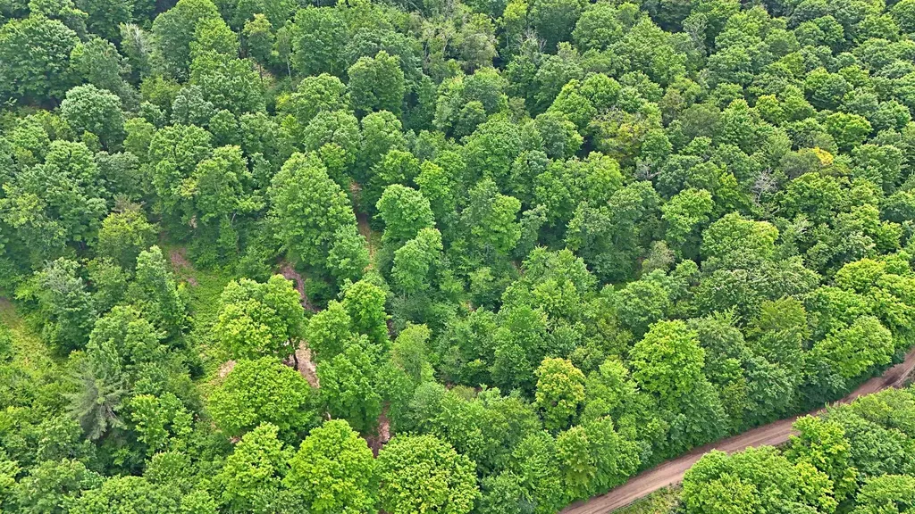 Vl 00 Cherry Hill Road Orange Township MI 49633