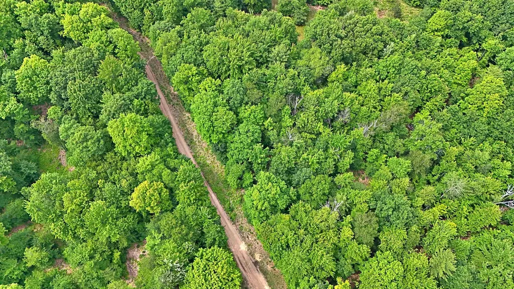 Vl 00 Cherry Hill Road Orange Township MI 49633