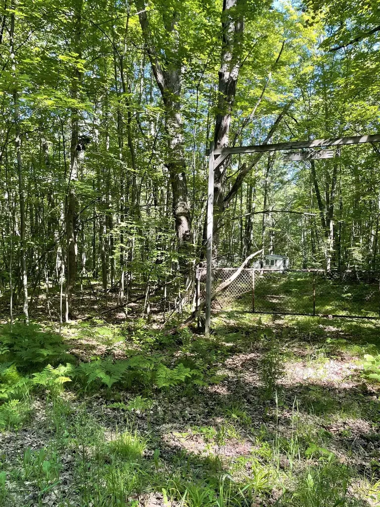 8895 Grandview Trail Pinora Township MI 49677
