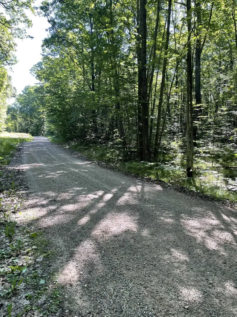 8895 Grandview Trail Pinora Township MI 49677