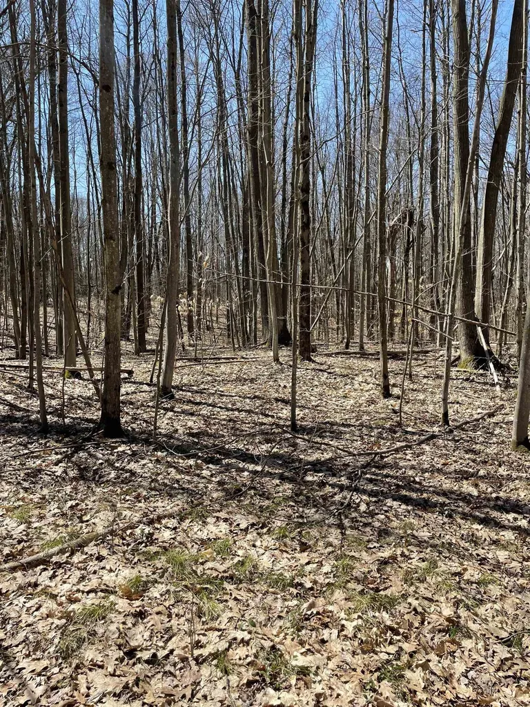 8895 Grandview Trail Pinora Township MI 49677