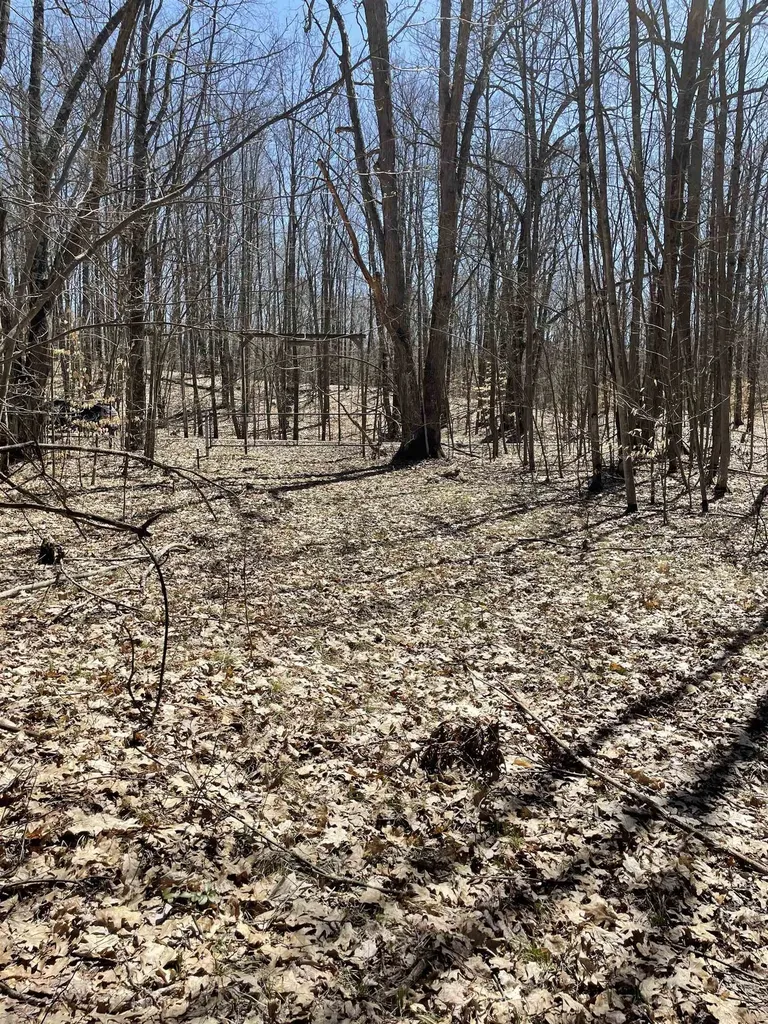 8895 Grandview Trail Pinora Township MI 49677