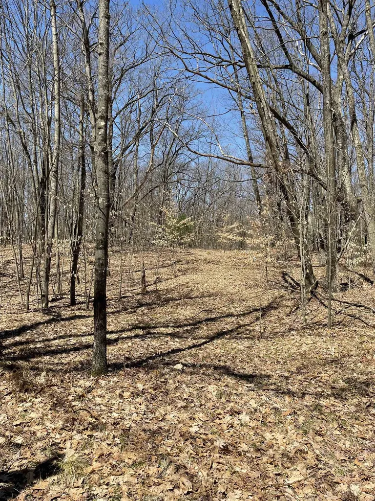 8895 Grandview Trail Pinora Township MI 49677