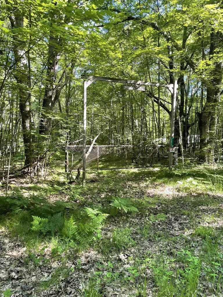 8895 Grandview Trail Pinora Township MI 49677