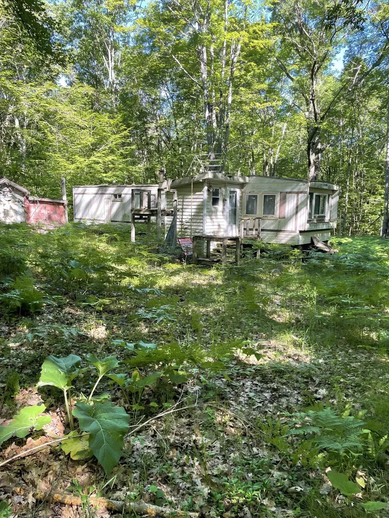 8895 Grandview Trail Pinora Township MI 49677