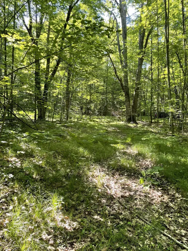 8895 Grandview Trail Pinora Township MI 49677