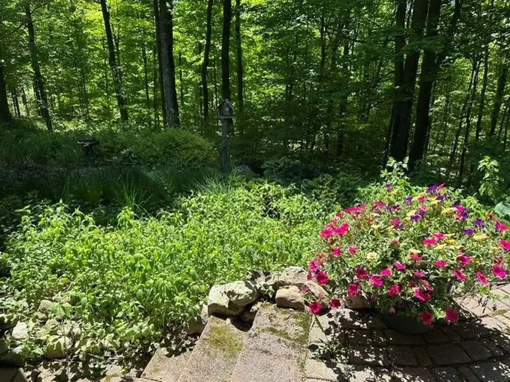 3285 S East Torch Lake Drive Forest Home Township MI 49615