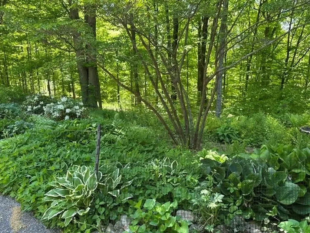 3285 S East Torch Lake Drive Forest Home Township MI 49615
