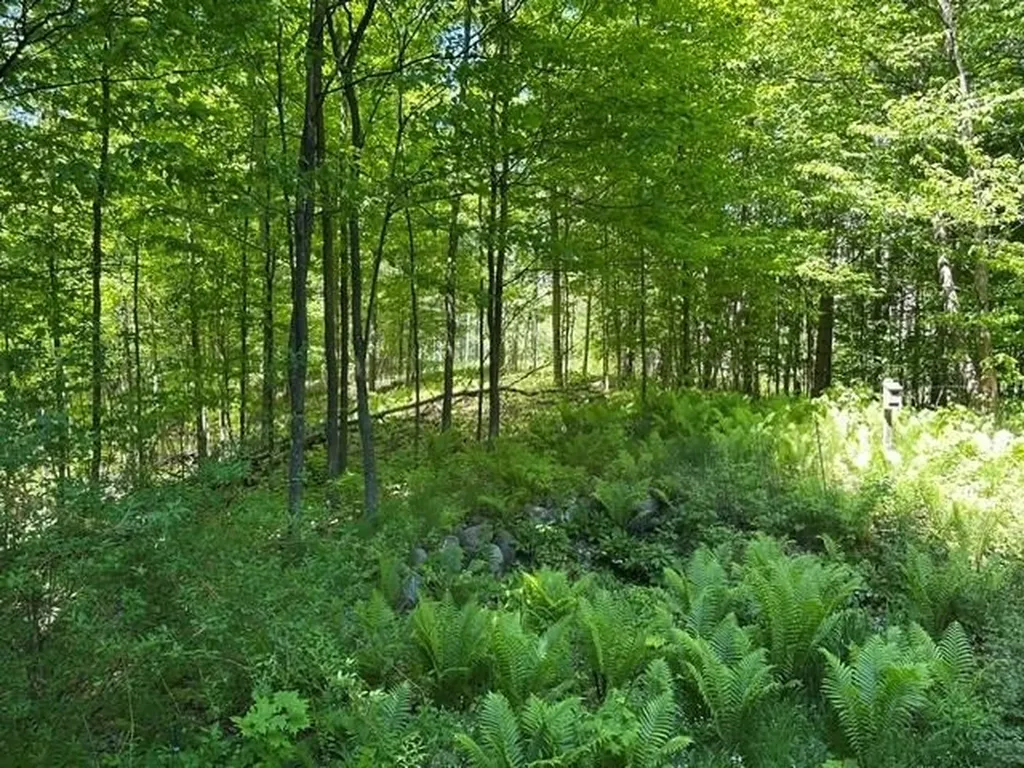 3285 S East Torch Lake Drive Forest Home Township MI 49615