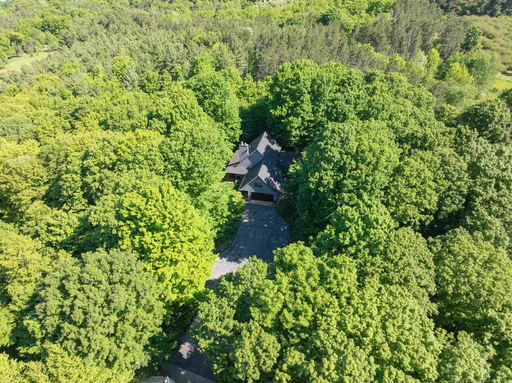 3285 S East Torch Lake Drive Forest Home Township MI 49615