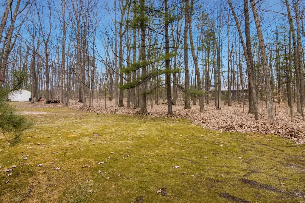 7625 Anthony Street Fife Lake Township MI 49633