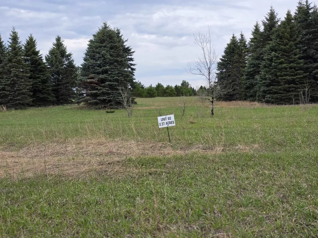 31 SE Blue Heron Drive Orange Township MI 49646