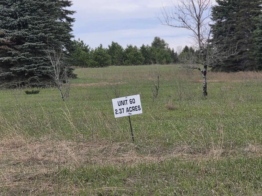 31 SE Blue Heron Drive Orange Township MI 49646