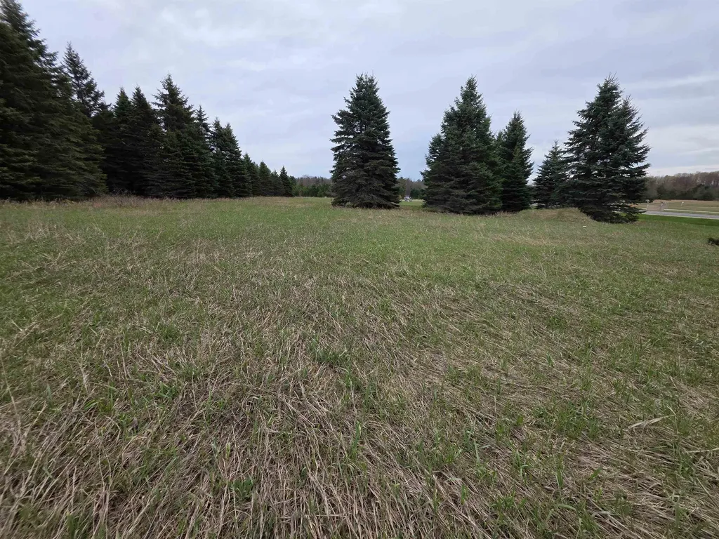 31 SE Blue Heron Drive Orange Township MI 49646
