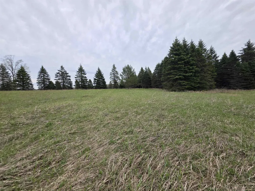 31 SE Blue Heron Drive Orange Township MI 49646