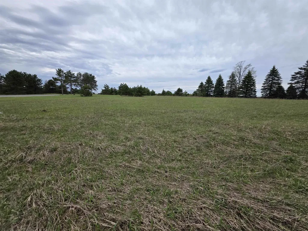 31 SE Blue Heron Drive Orange Township MI 49646