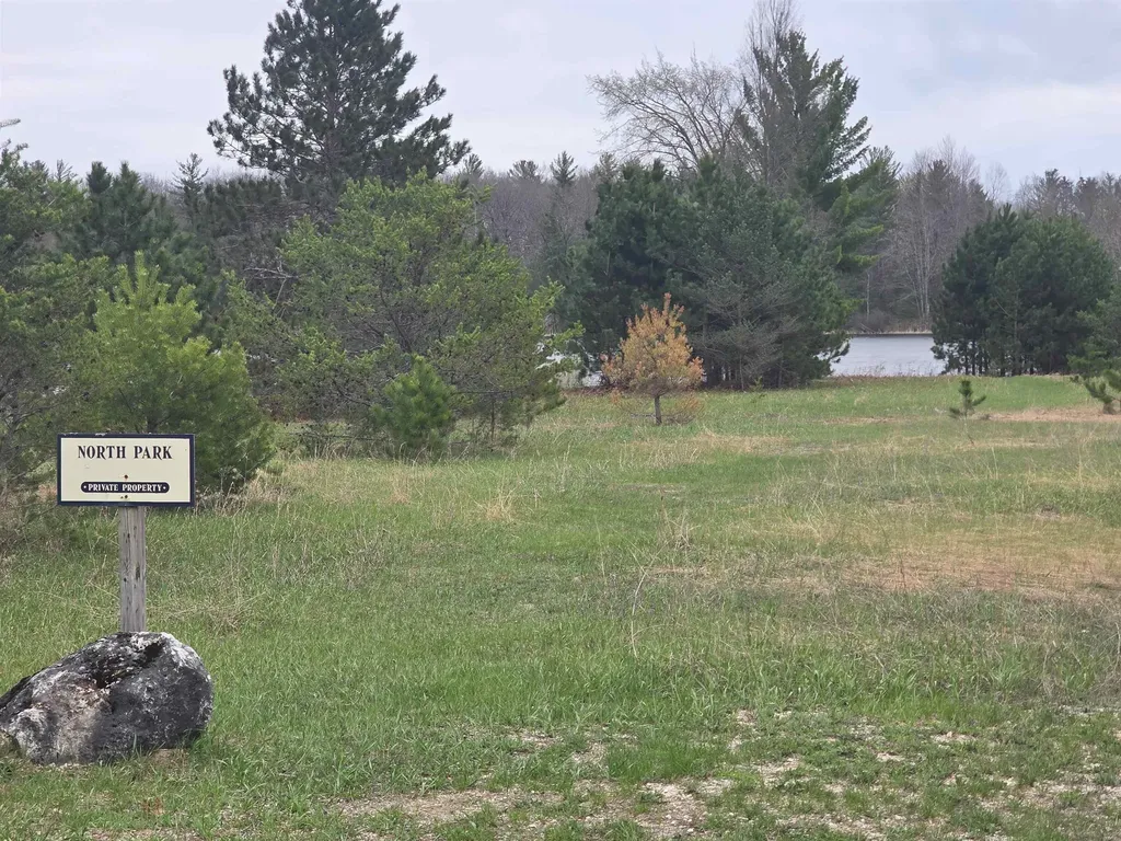 31 SE Blue Heron Drive Orange Township MI 49646