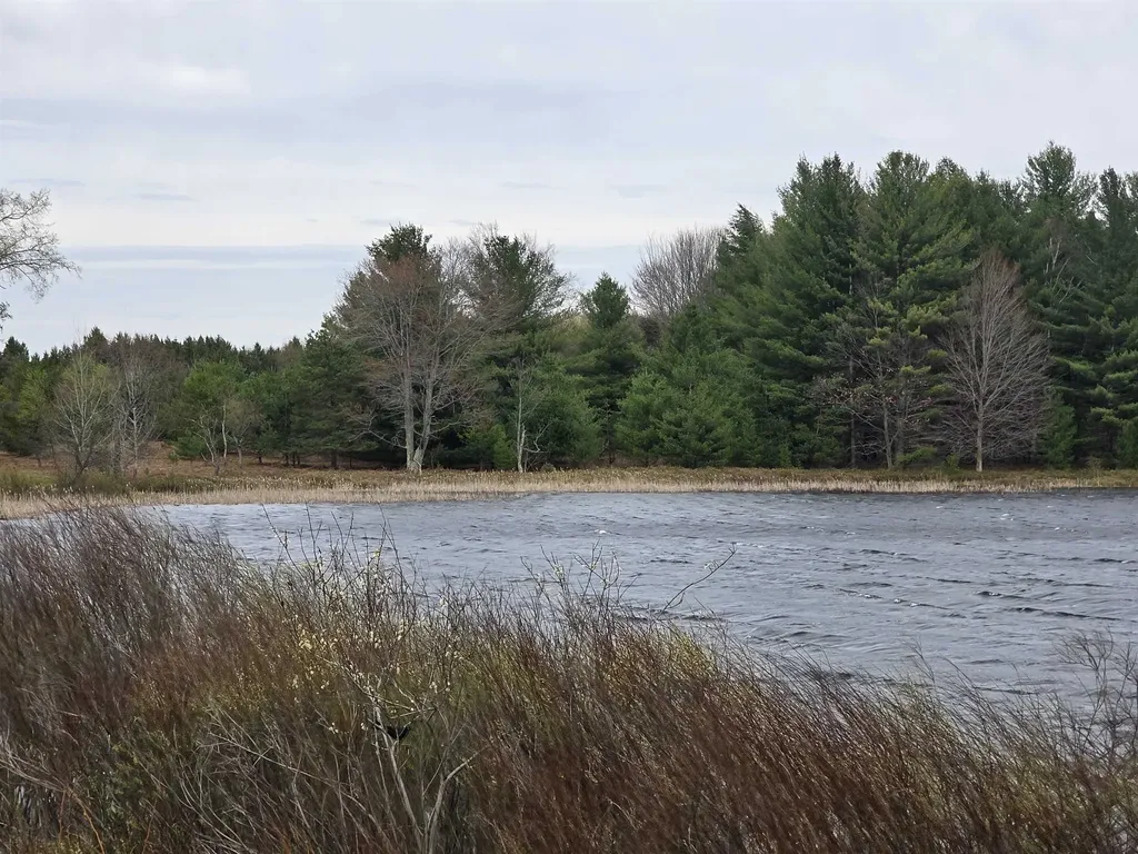 31 SE Blue Heron Drive Orange Township MI 49646