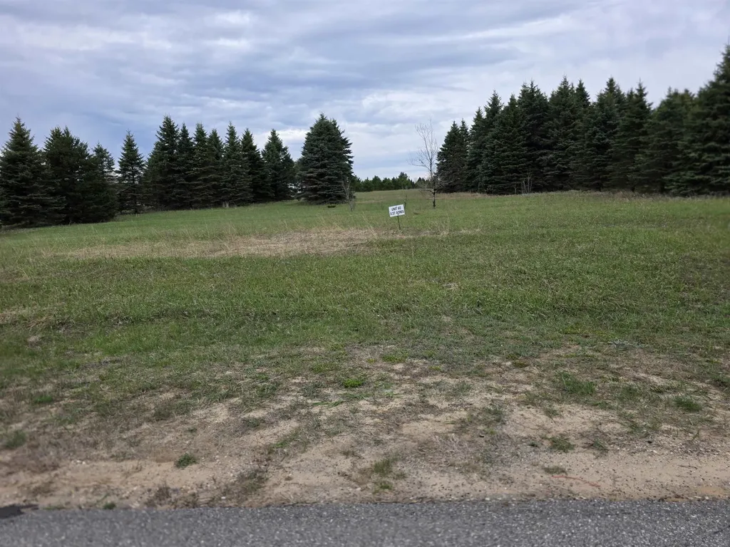 31 SE Blue Heron Drive Orange Township MI 49646