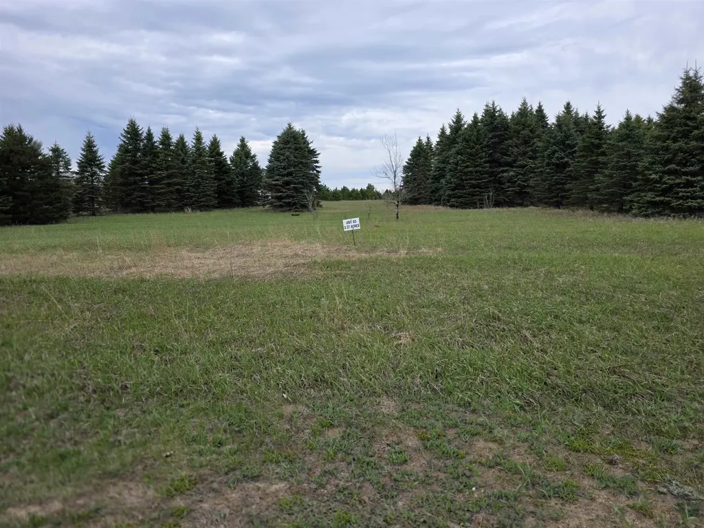 31 SE Blue Heron Drive Orange Township MI 49646