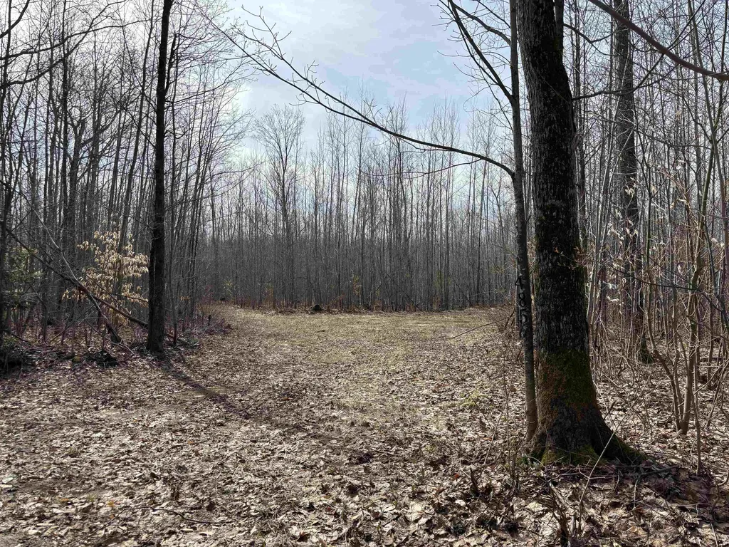4856 Star Chief Trail Mancelona Township MI 49659