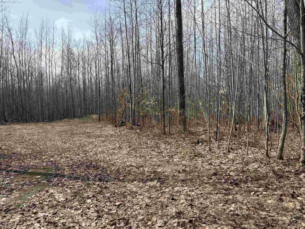 4856 Star Chief Trail Mancelona Township MI 49659
